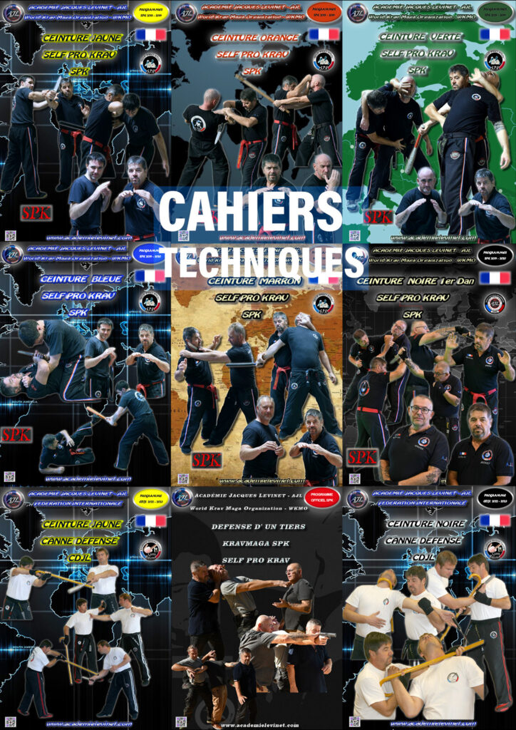 Livre l'art de transmettre